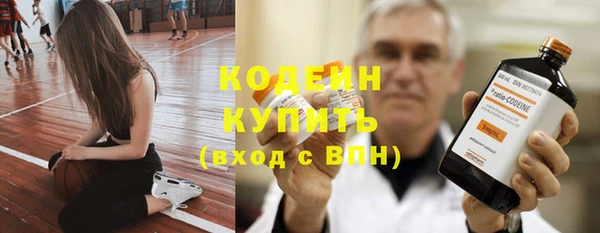 соль ск Кукмор