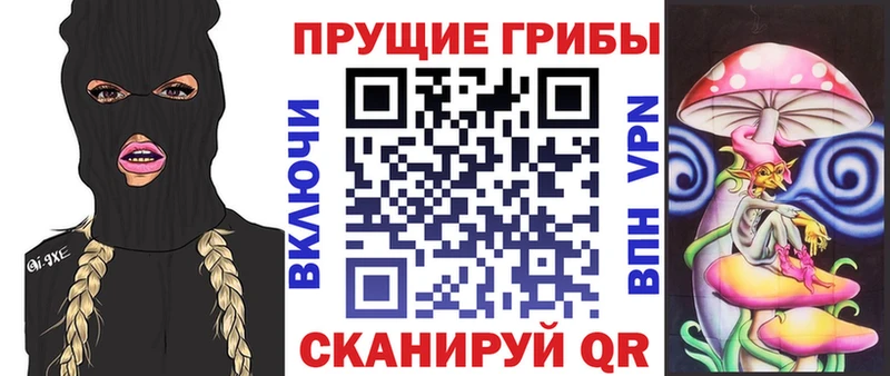 OMG как зайти  Южа  Псилоцибиновые грибы мухоморы 